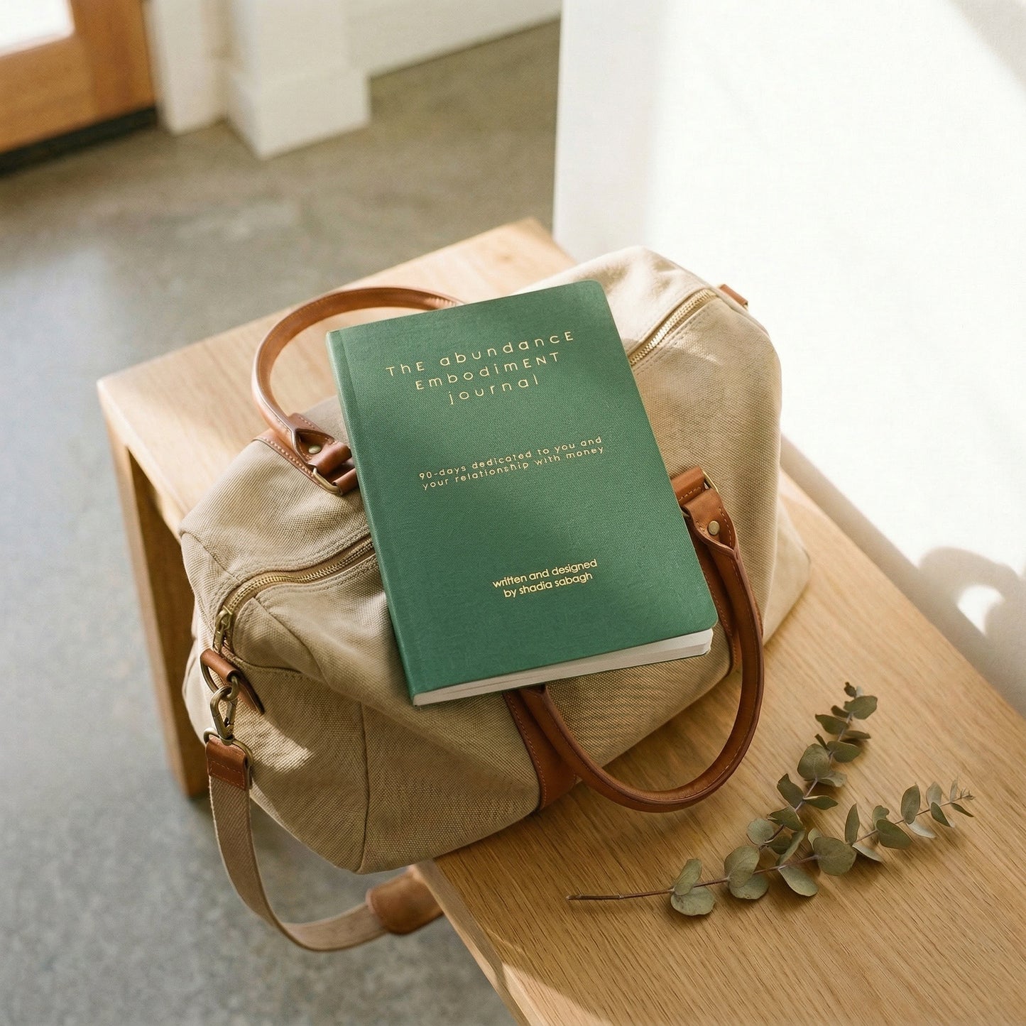 Abundance Embodiment Journal